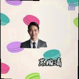 苏婉清